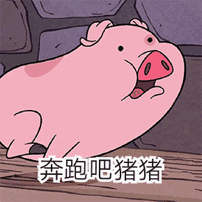 小猪 奔跑吧猪猪 可爱 粉色