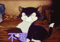 不要 猫 动漫