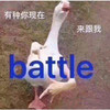 萌宠 鸭子 有种你来跟我比 不服来battle 可爱 傲娇
