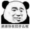 暴漫 文字表情包 弟弟你在狂什么呢 搞笑 逗 沙雕