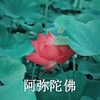 魔性 搞笑 沙雕 头像 佛系