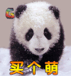 大熊猫 卖个萌 soogif soogif出品