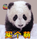 大熊猫 卖个萌 soogif soogif出品