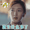恋爱先生 江疏影 发生了什么事 soogif soogif出品