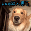 愚人节 我好像被人愚了 soogif soogif出品