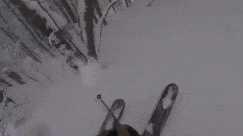 森林 滑雪 运动 白雪皑皑 寒冬 forest