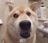 朋友圈配图 朋友圈截图 朋友圈