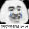 暴漫 文字表情包 把爷整的泪汪汪 搞笑 沙雕 魔性