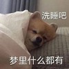 萌宠 汪星人 洗睡吧 梦里什么都有 搞怪 逗