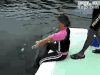 搞笑 海豚 美女 啪啪啪 污 可怕 尴尬