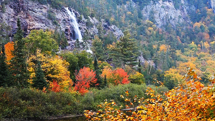 瀑布 自然 风景 秋天