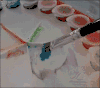 油画 Oil painting 海豚 聪明 可爱