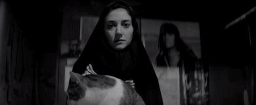 恐怖 电影 黑色和白色 二千零一十四 二千零一十五 吸血鬼 猫 伊朗 一个女孩在晚上独自走回家 安娜百合amipour 看你的电影