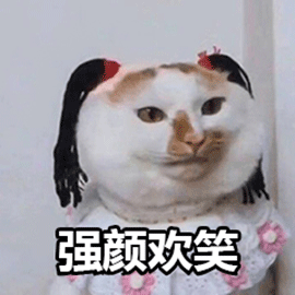 萌宠 猫咪 猫 强颜欢笑 搞怪