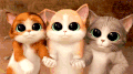 猫猫 大眼睛 看镜头 动漫
