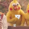 鹦鹉兄弟 爱 搞笑 斗图 可爱