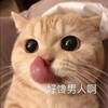 萌宠 喵星人 好馋男人啊 饥渴 呆萌 可爱