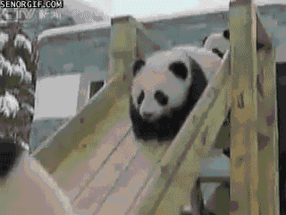 熊猫 滑梯 玩耍 雪地