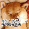 狗 大个人讲话 三闷仔闪梅一边去 睡觉