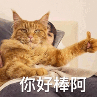 你好棒 猫 搞怪 逗