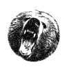 熊 bear 怒吼 黑白