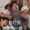 迷妹 沙雕 搞笑 追星 文字表情包