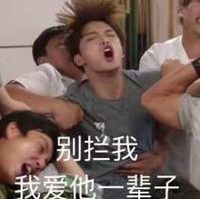 迷妹 沙雕 搞笑 追星 文字表情包