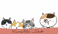 卡通 猫咪 点头 张嘴