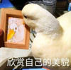 萌宠 鸭子 欣赏自己的美貌 开心 呆萌 可爱