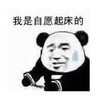 暴漫 文字表情包 我是自愿起床的 搞笑 逗 沙雕