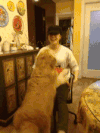 狗狗  宠物  搞笑  喵星人