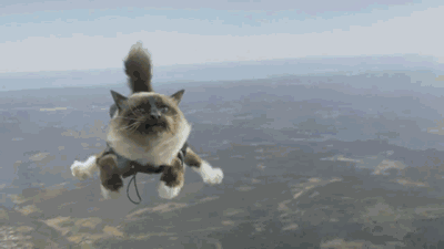 猫咪 喵星人 飞翔 搞笑 自由