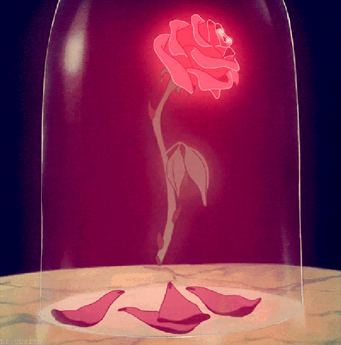 卡通 玫瑰花 玻璃罩 凋落