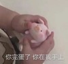 萌娃 黄夏温 你完蛋了你在我手上 可爱 搞笑 逗