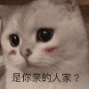 萌宠 可爱 逗 猫星人 搞笑 表情包