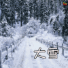 大雪 下雪 白雪 冷 白雪皑皑 soogif soogif出品