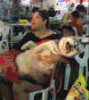 搞笑 假狗 宠物 可怕