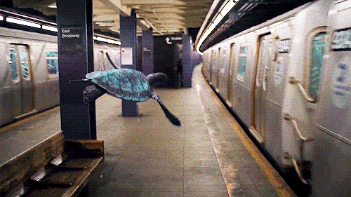 列车 乌龟 飞起来