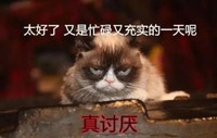 萌宠 猫星人 太好了 又是忙绿又充实的一天 呆萌 可爱