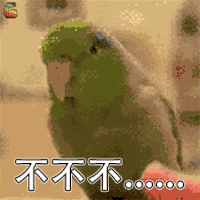 萌宠 鹦鹉 鸟 拒绝 不 soogif soogif出品