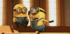神偷奶爸 小黄人 翻滚 生气 撞头 萌 Despicable Me