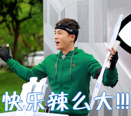杜淳 帅气 国庆长假 文字表情包 搞笑