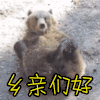 熊 乡亲们好 打招呼
