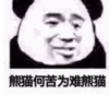 暴漫 文字表情包 熊脑何苦为难熊猫 搞笑 沙雕 魔性