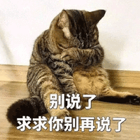 别说了 求求你 别再说了 猫