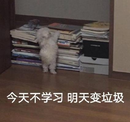 魔性 搞笑 可爱 动物 大杂烩 沙雕
