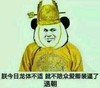 就不陪众爱卿装逼了退朝 熊猫头 龙袍 人脸