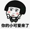 暴漫 文字表情包 你的小可爱来了 搞笑 沙雕 魔性
