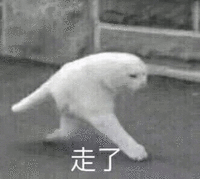 沙雕猫 猫咪 猫 可爱猫 猫表情包 猫咪表情包 小猫