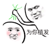 拔头发 脱发 掉头发
